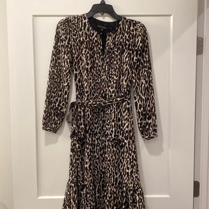 Banana Republic Cheetah Dress